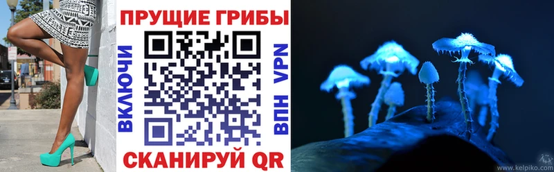 Галлюциногенные грибы прущие грибы  hydra зеркало  Высоцк 